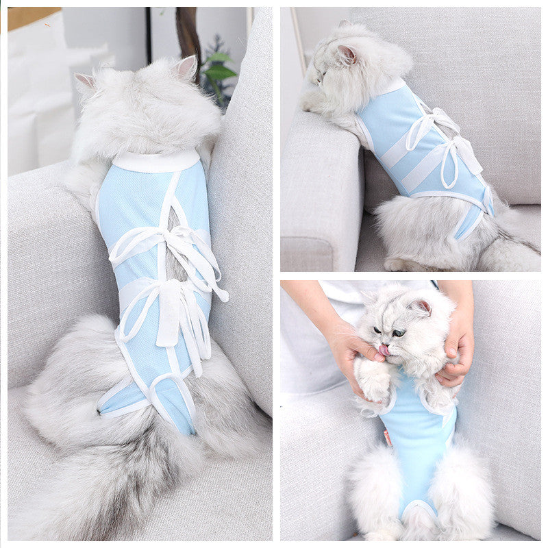 Light blue cat outfit with white trim and long ribbon ties on the back