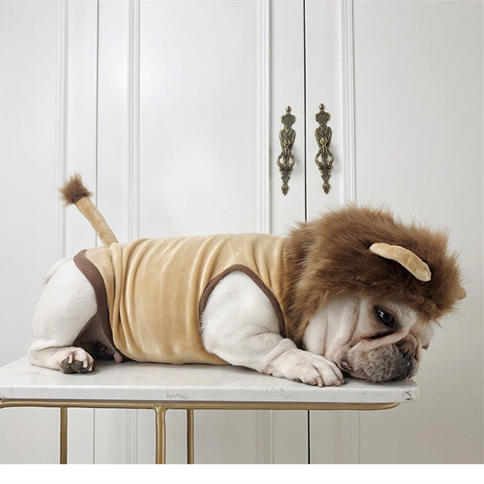 Pet lion hood costume in beige with brown edging, plush mane hood, side view