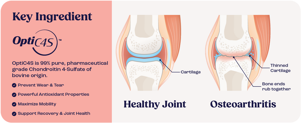 Key ingredient Opti4S diagram: healthy joint vs osteoarthritis for cats