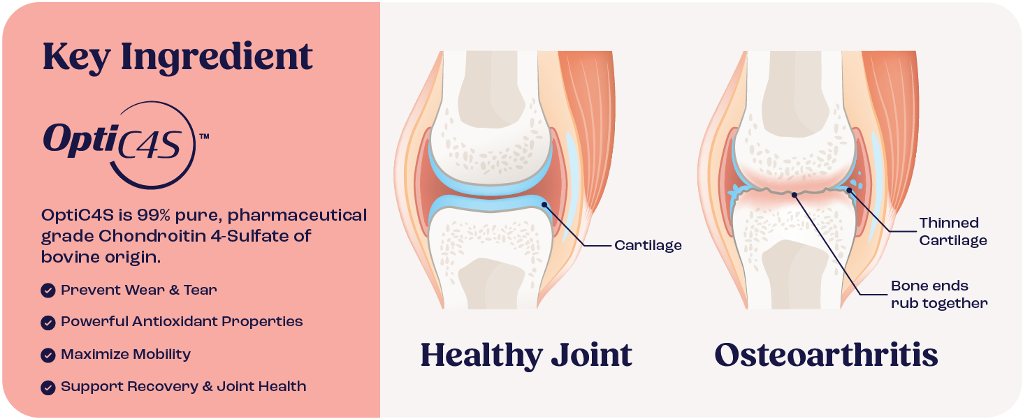 Key ingredient Opti4S diagram: healthy joint vs osteoarthritis for cats