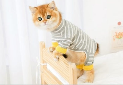 Gray-and-white striped cat onesie with yellow paw accents, four-legged