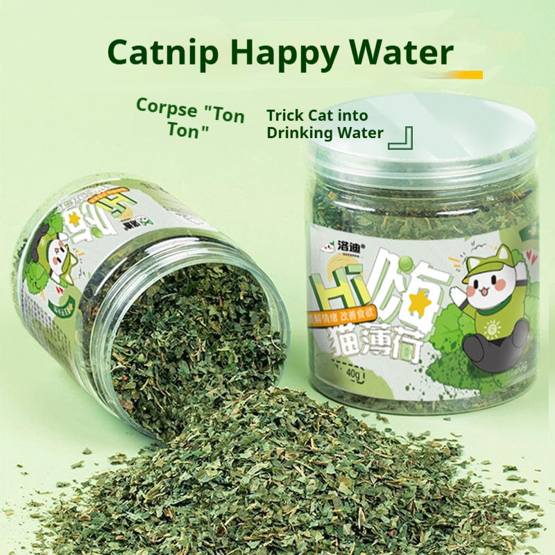 Catnip Cat Grass Treats