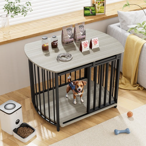 Dark metal dog crate with double-door front and open entry