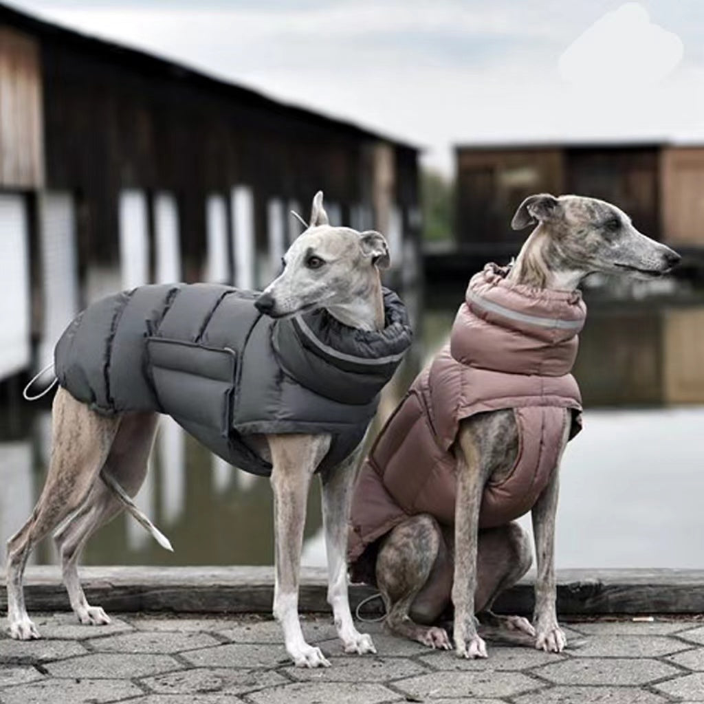 Grey quilted dog winter vest with high collar and padded belly section