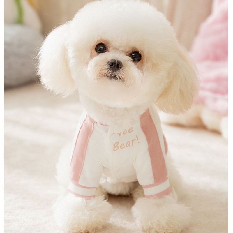 Small dog wearing a white pet jacket with pink accents and paw/bear-style chest print