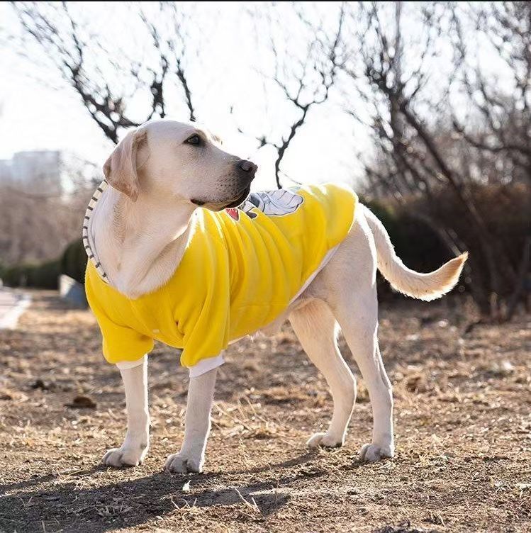 Yellow dog sweatshirt with striped trim, side view