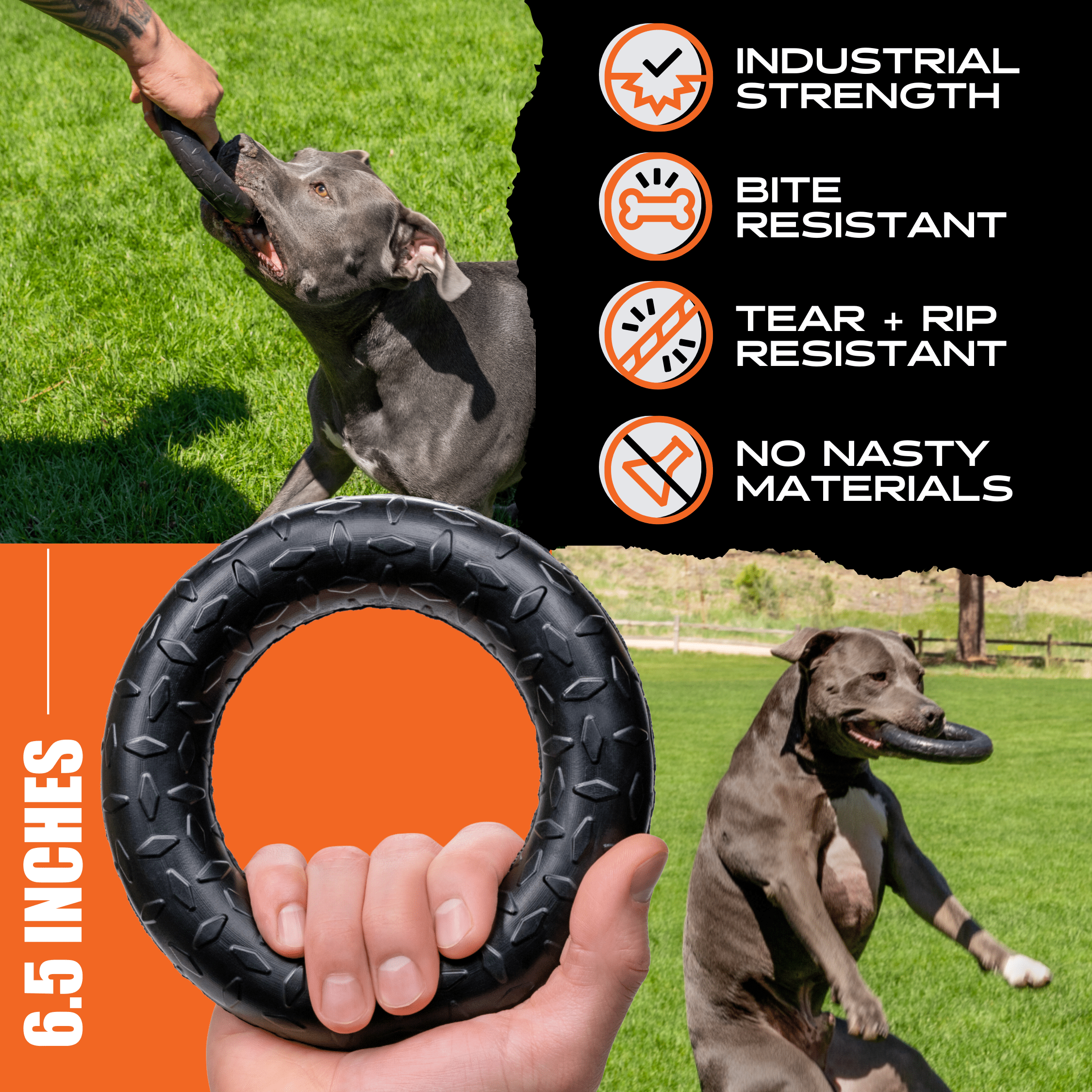 Black rubber chew ring in hand, featuring raised tread and a finger-grip center.