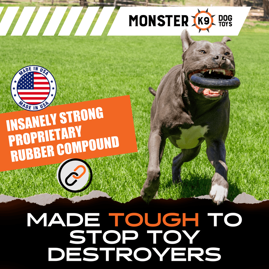 Dog holding a black rubber chew ring toy with knobby tread.