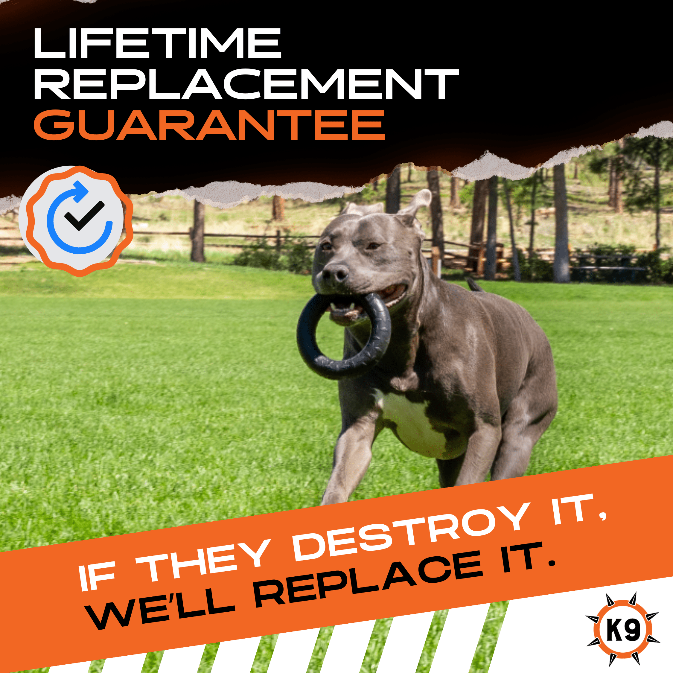 Dog playing with a black rubber chew ring toy with raised tread.