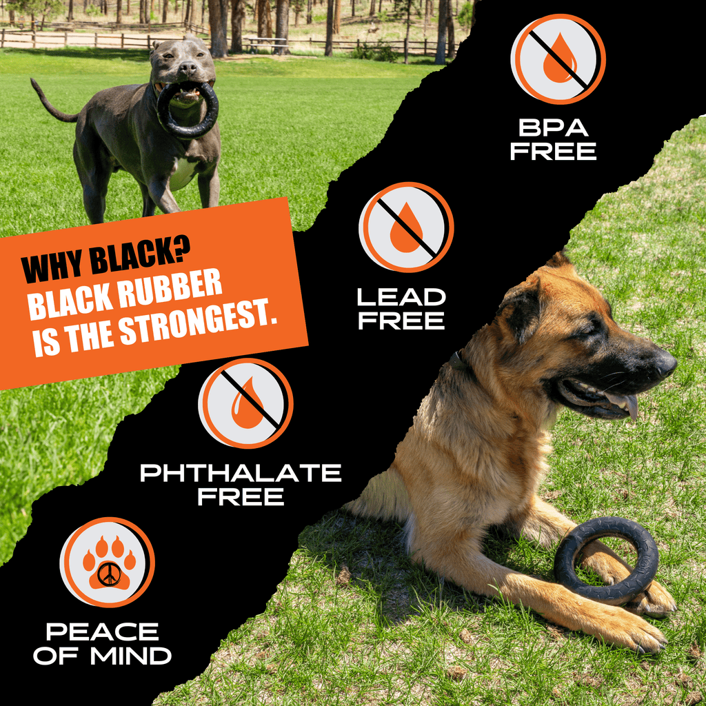 Dog lying on grass with a black rubber chew ring toy with knobby tread.