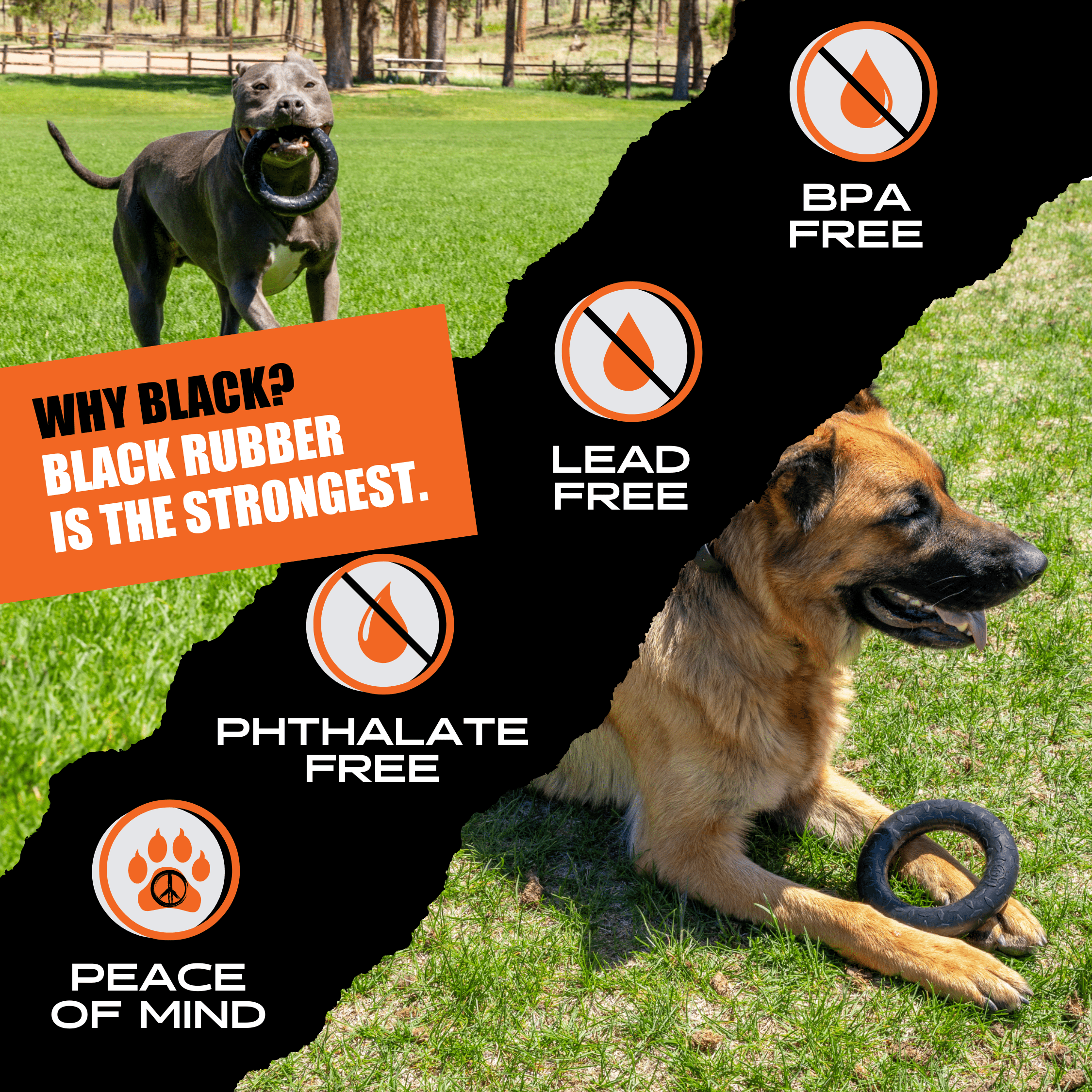 Dog lying on grass with a black rubber chew ring toy with knobby tread.
