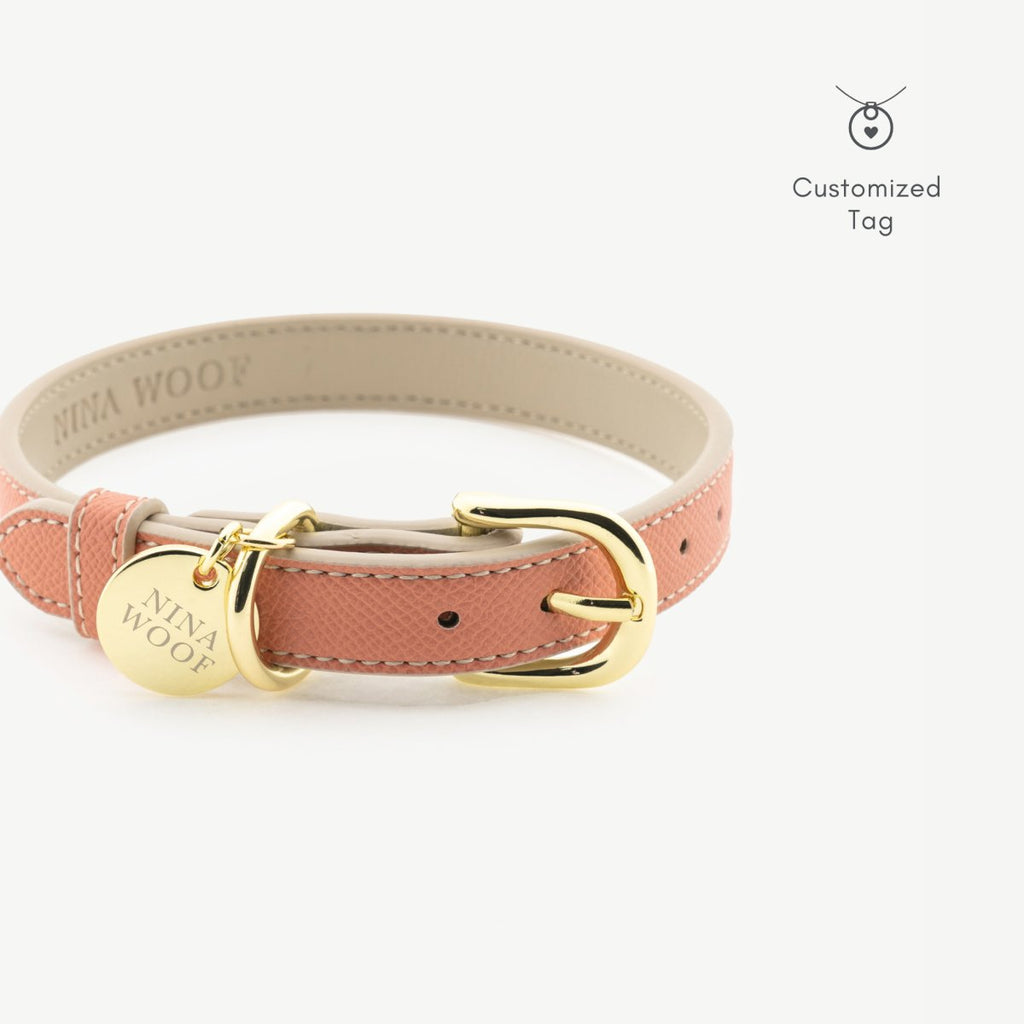 Peach Rio vegan leather collar with gold buckle and round nameplate tag