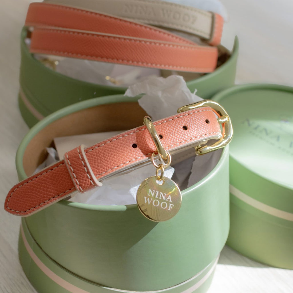 Peach Rio vegan leather collar with gold hardware and round nameplate tag