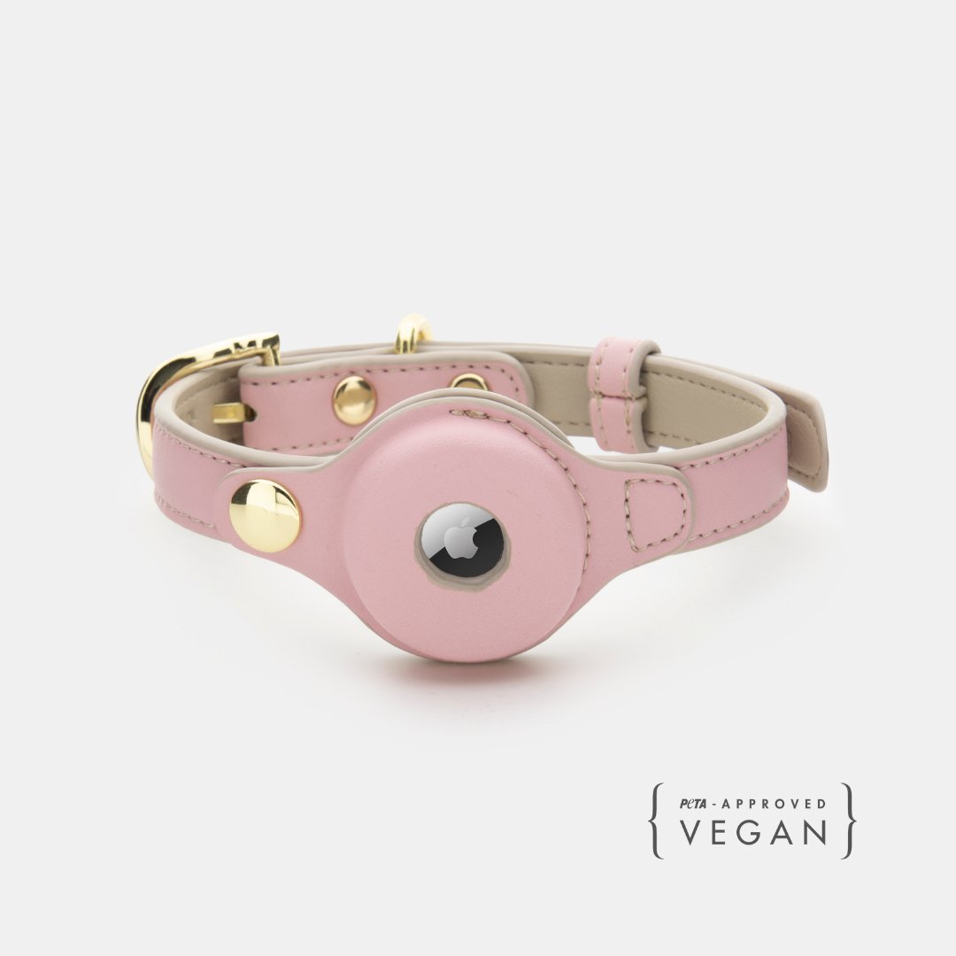 Pink vegan leather dog collar with AirTag holder and gold hardware, snap closure