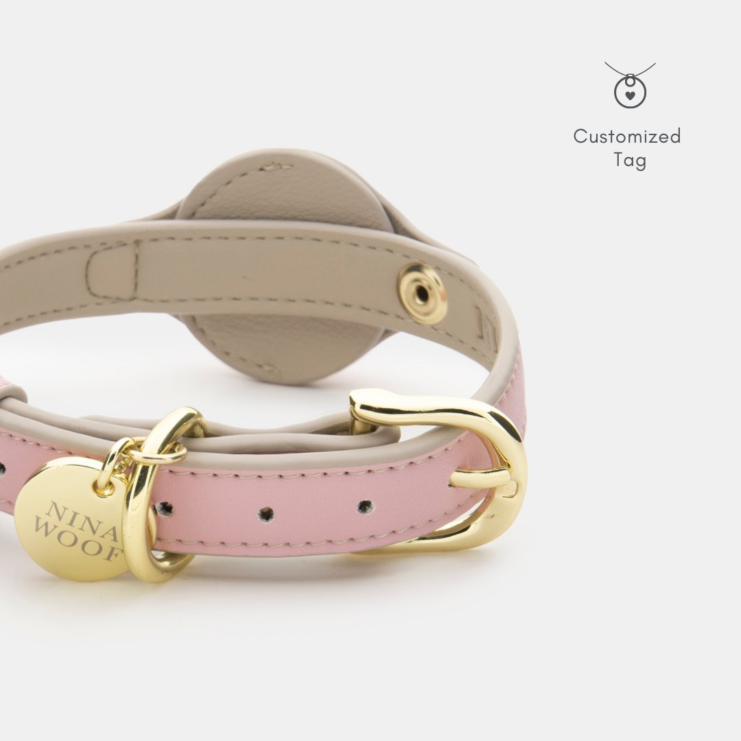 Pink dog collar with gold buckle, round custom tag holder, and perforated strap holes