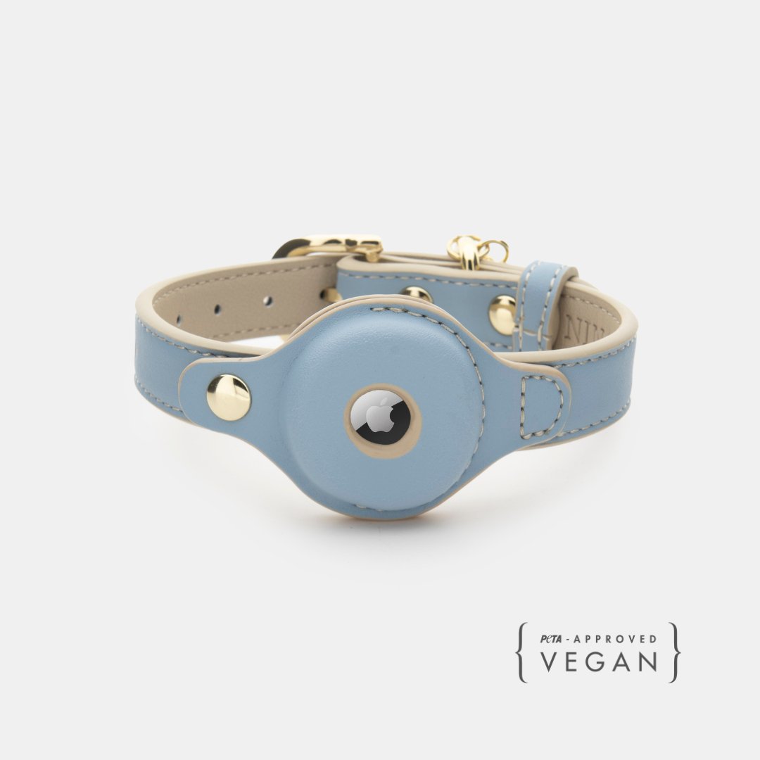 Light blue dog collar with AirTag holder, gold hardware, and adjustable buckle strap