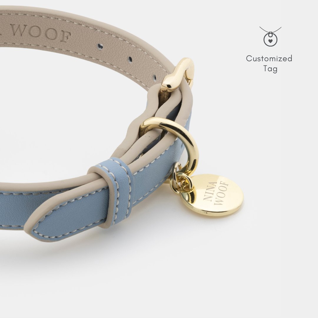 Light blue dog collar with customized tag holder, gold O-ring, and adjustable strap holes