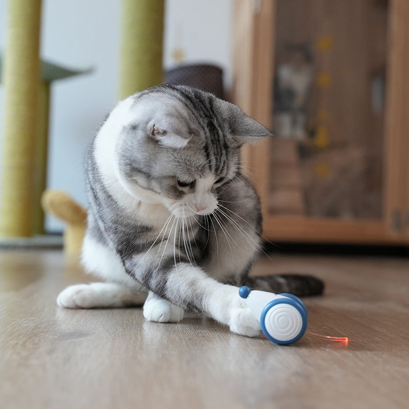 Electric cat mouse toy on floor, blue and white, glowing red light.