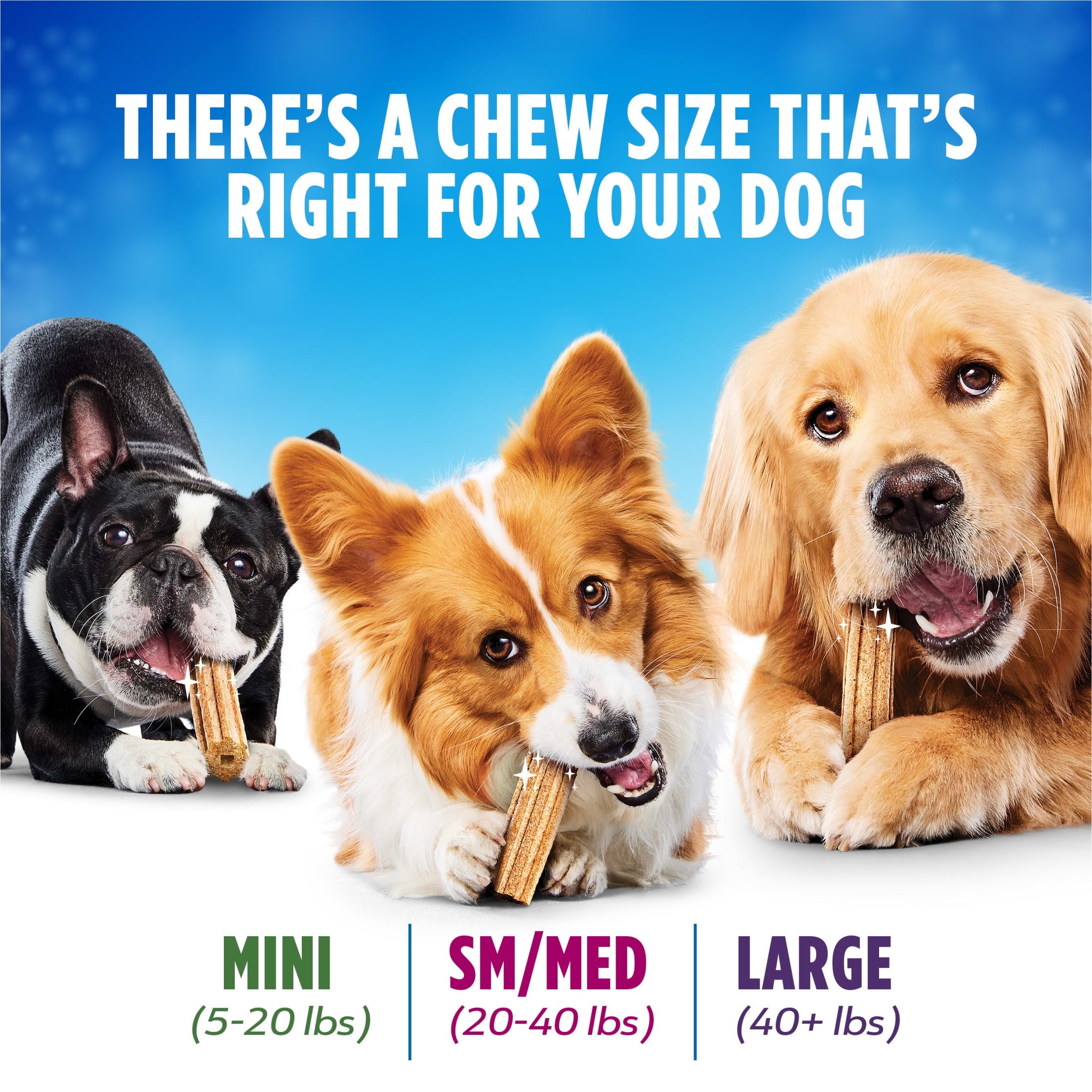 Dentalife chew size chart: mini 5–20 lb, sm/med 20–40 lb, large 40+ lb