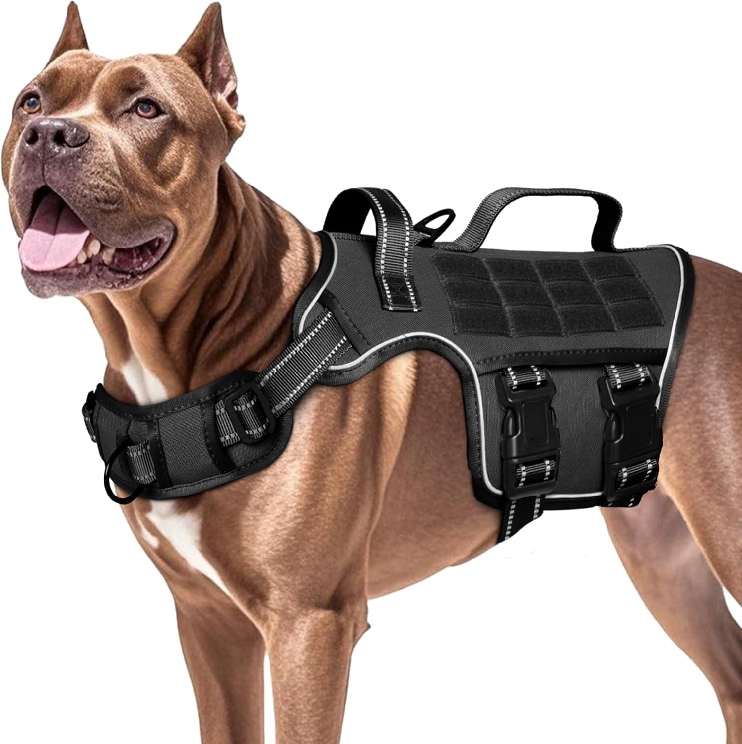 Black dog tactical harness vest with Molle panel and front leash clip