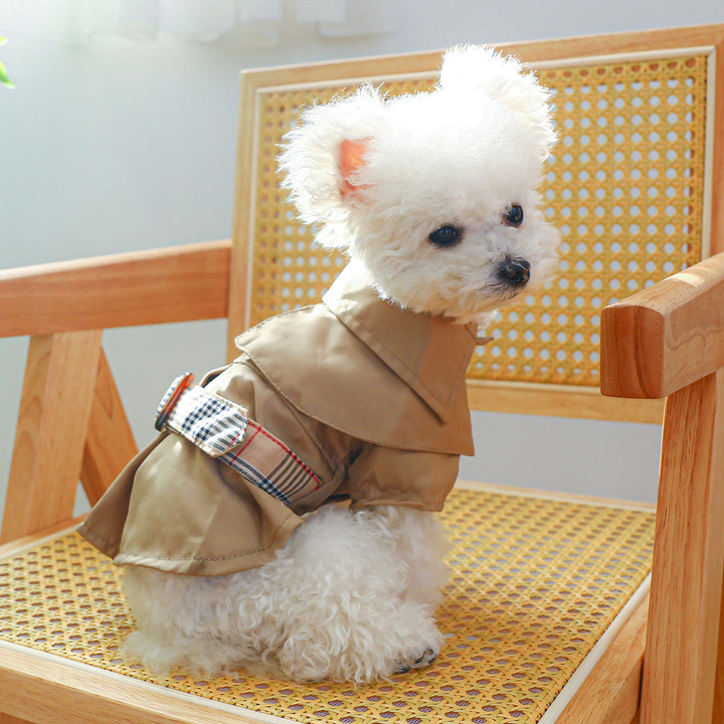Khaki pet trench coat with plaid strap details and short cape-style collar
