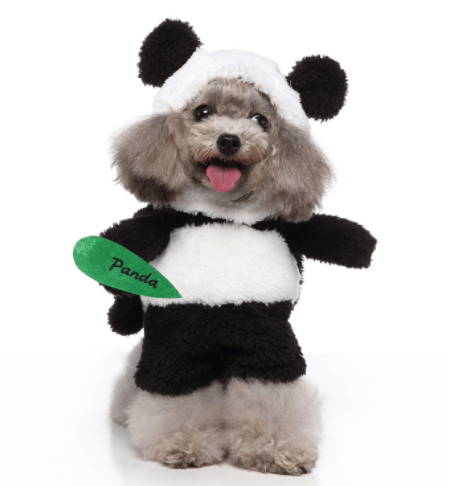 Panda dog costume with black ears and white belly panel