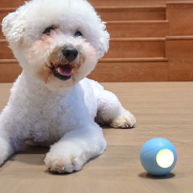 Cat Toys Smart Rolling Ball