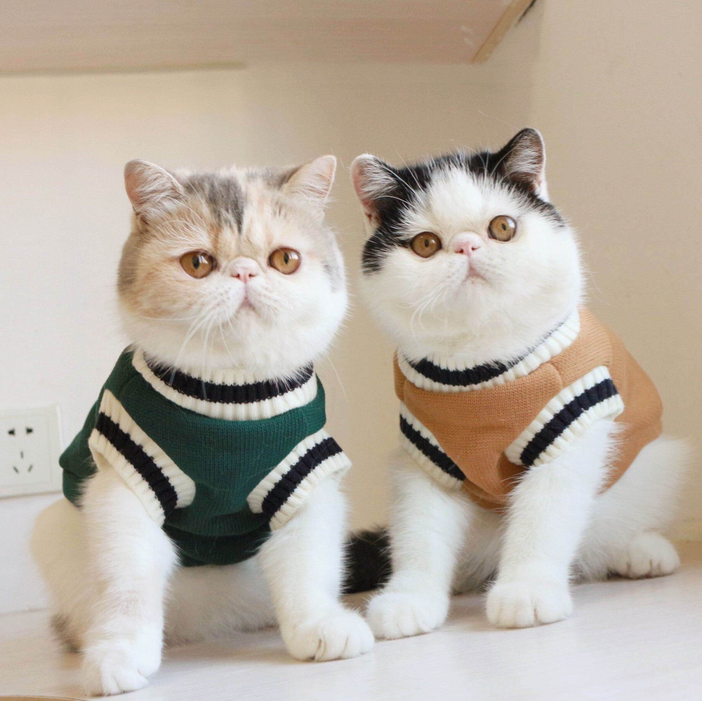 Cat knit sweater vest, dark green with black-and-white striped collar