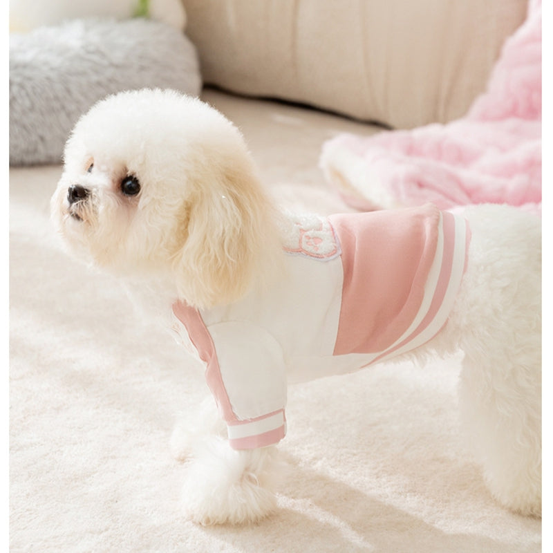 Small dog wearing a pink-and-white pet jacket with bunny and striped leg cuffs