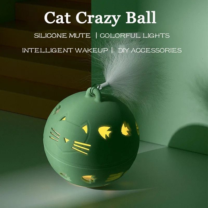 Crazy Ball Interactive Pet Toy
