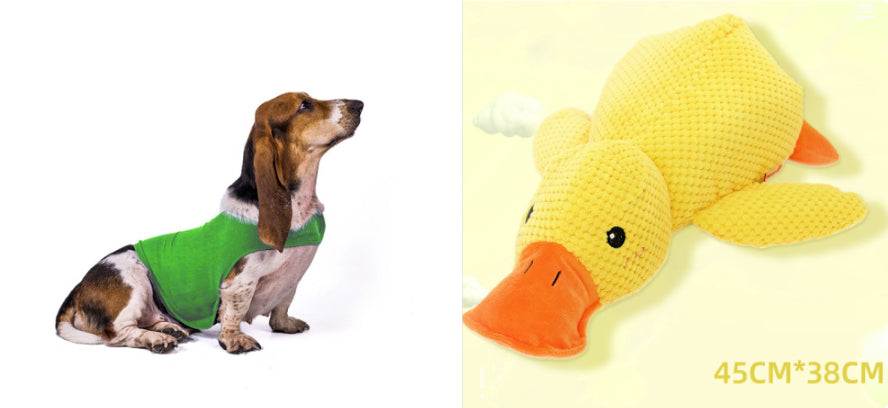 Pet calming anxiety vest in green, worn by a sitting dog.