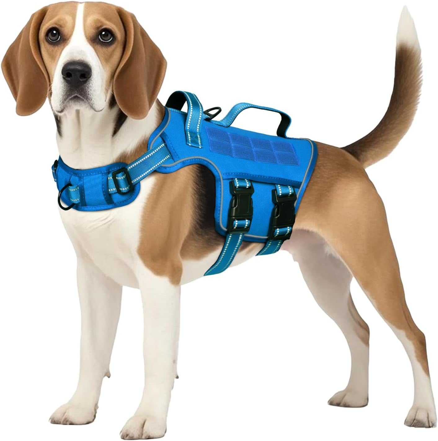Blue dog tactical harness vest with front leash attachment and Molle webbing