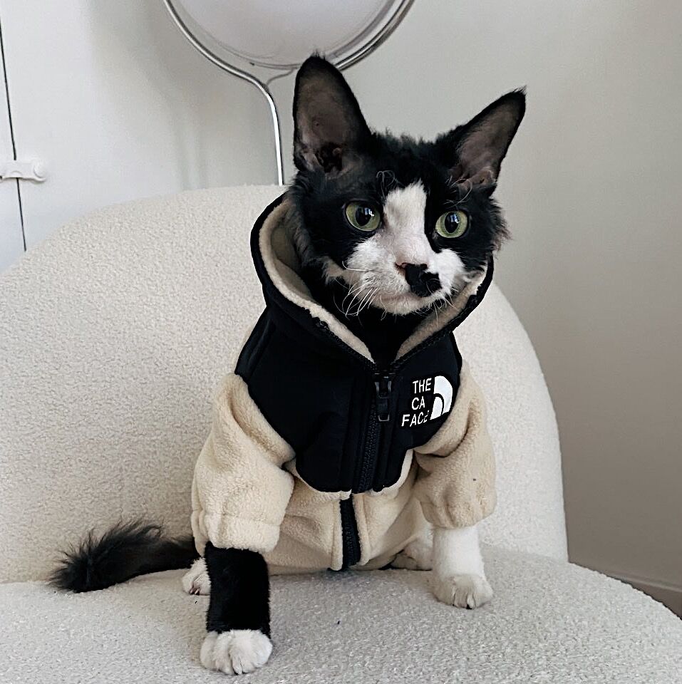 Warm pet cat fleece jacket with cream body, black hood, and front zipper