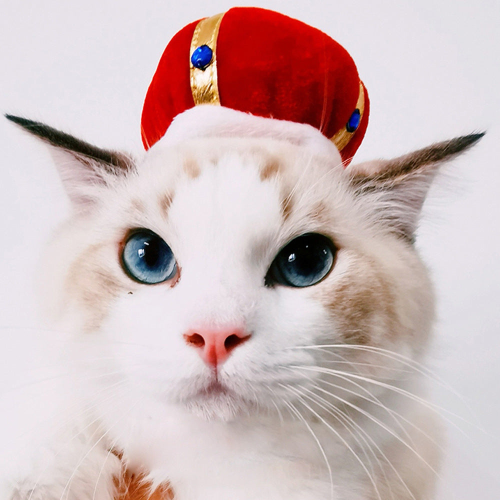 Pet cat hat with red plush cap and small blue decorative accents