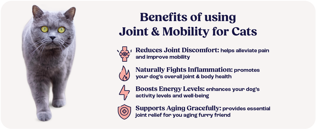 Cat beside benefits panel for Joint & Mobility supplement: reduces discomfort, boosts energy