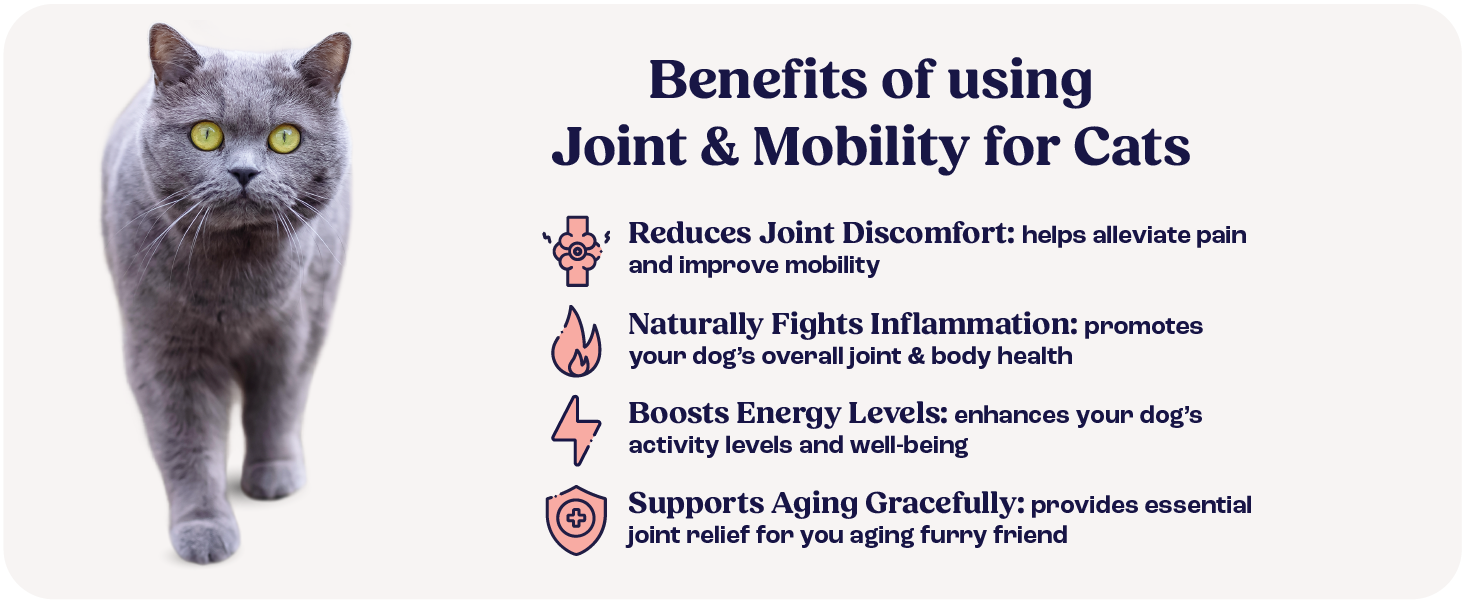Cat beside benefits panel for Joint & Mobility supplement: reduces discomfort, boosts energy