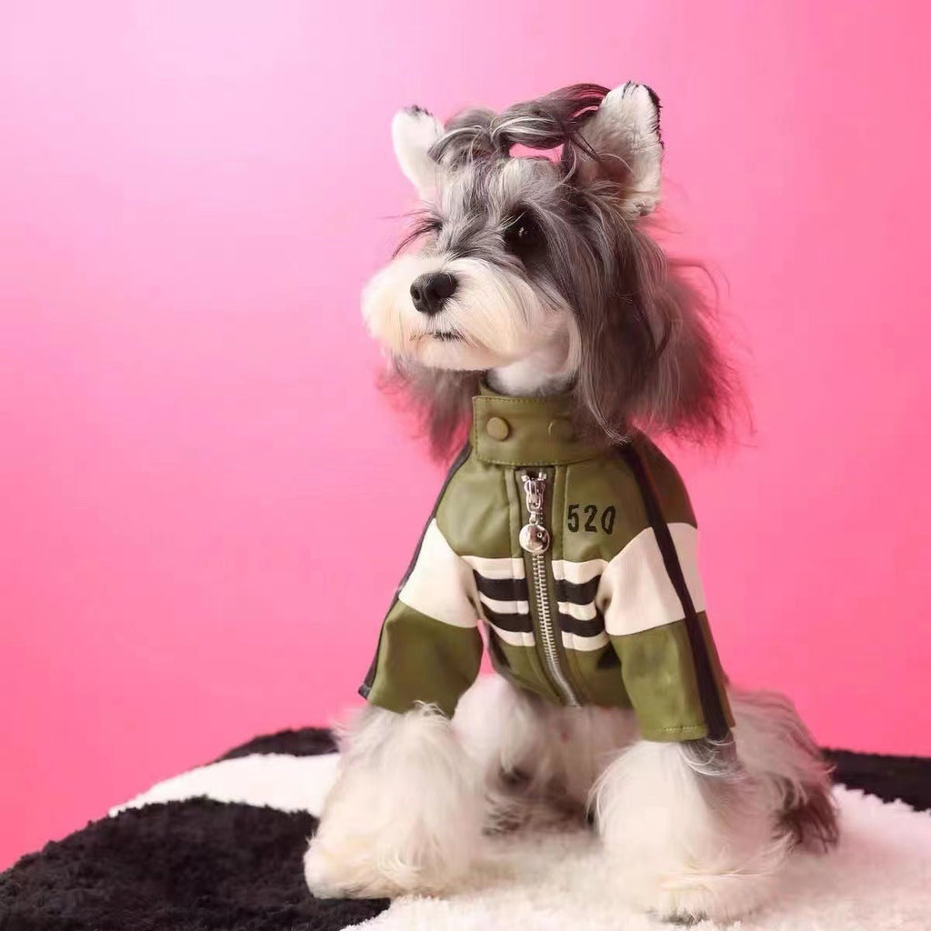 Pet motorcycle jacket coat in olive green with zip front and striped chest panel