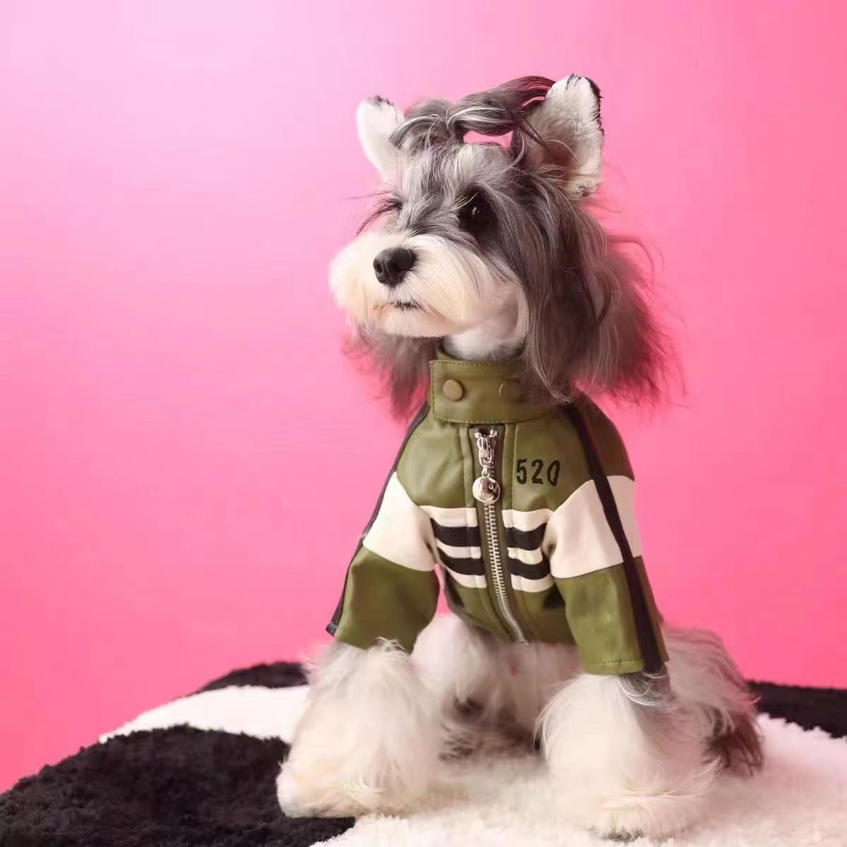 Pet motorcycle jacket coat in olive green with zip front and striped chest panel