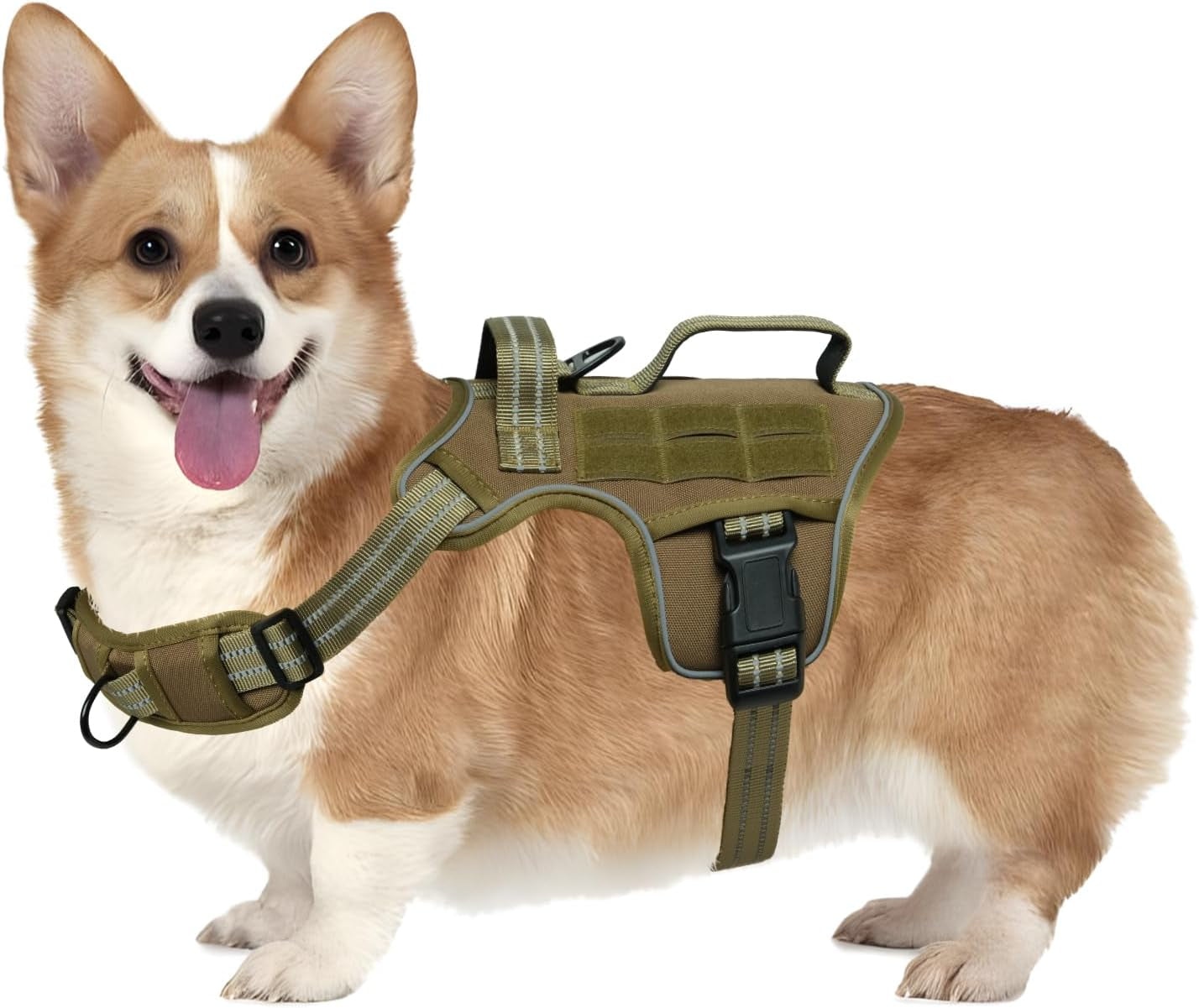 Olive green dog tactical harness with padded chest panel and front clips