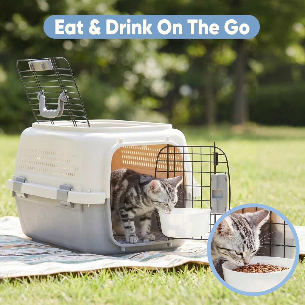 Airline-approved pet carrier crate with cat and food bowl, wire front door