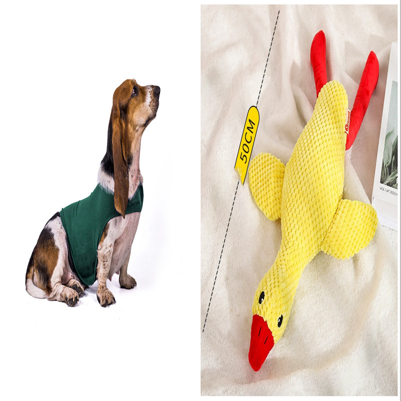 Pet calming anxiety vest in dark green, worn by a sitting dog.