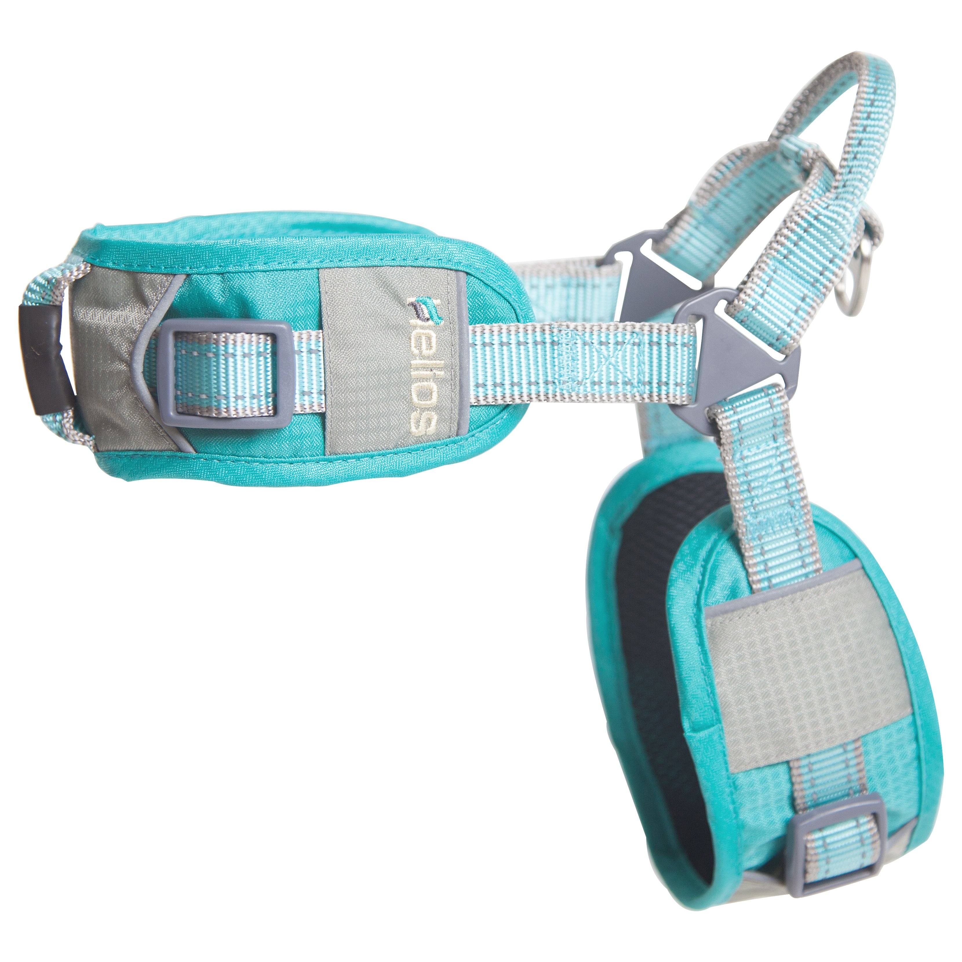 Aqua reflective dog harness with adjustable straps and matching leash
