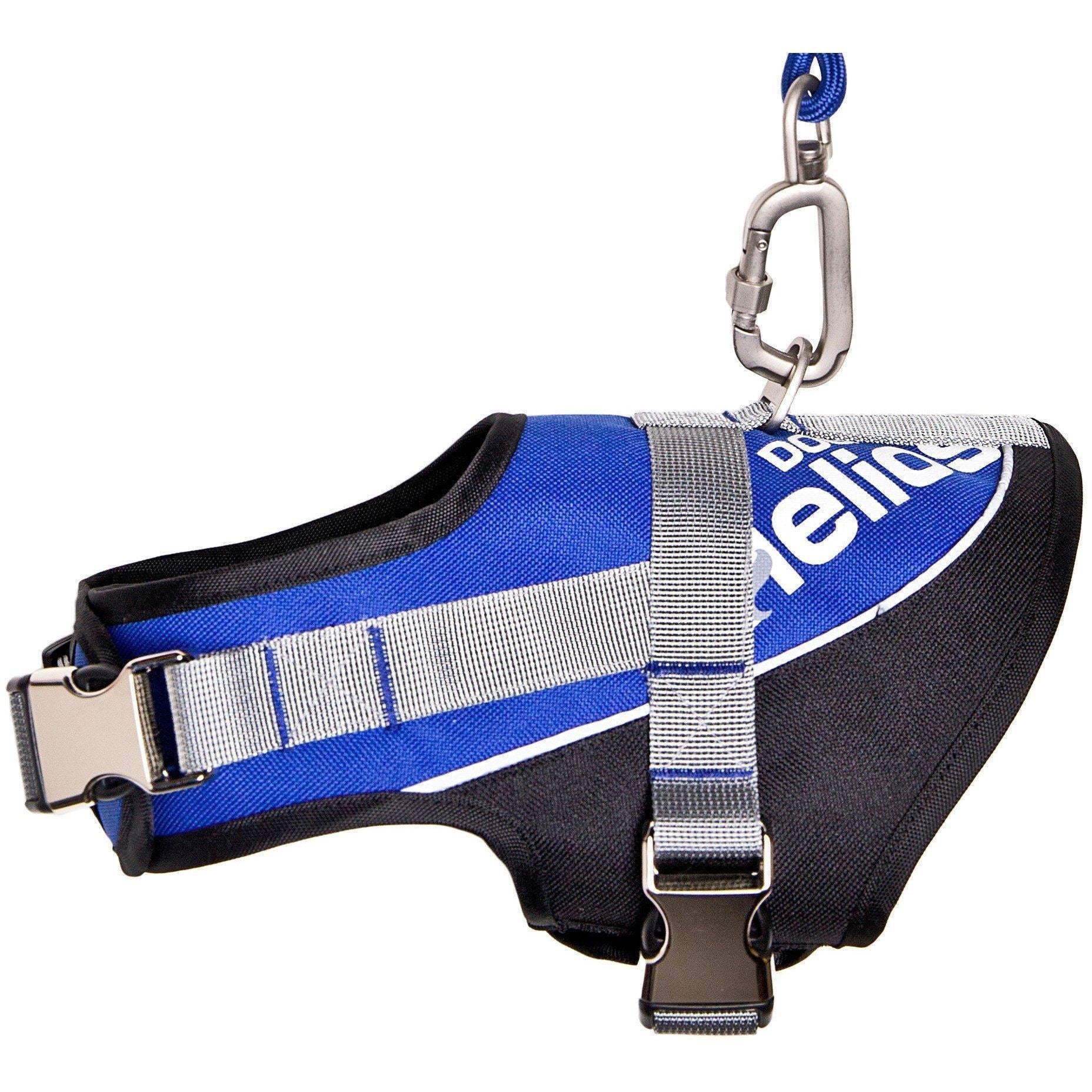 Teal blue and black dog harness with reflective strips and metal leash clip