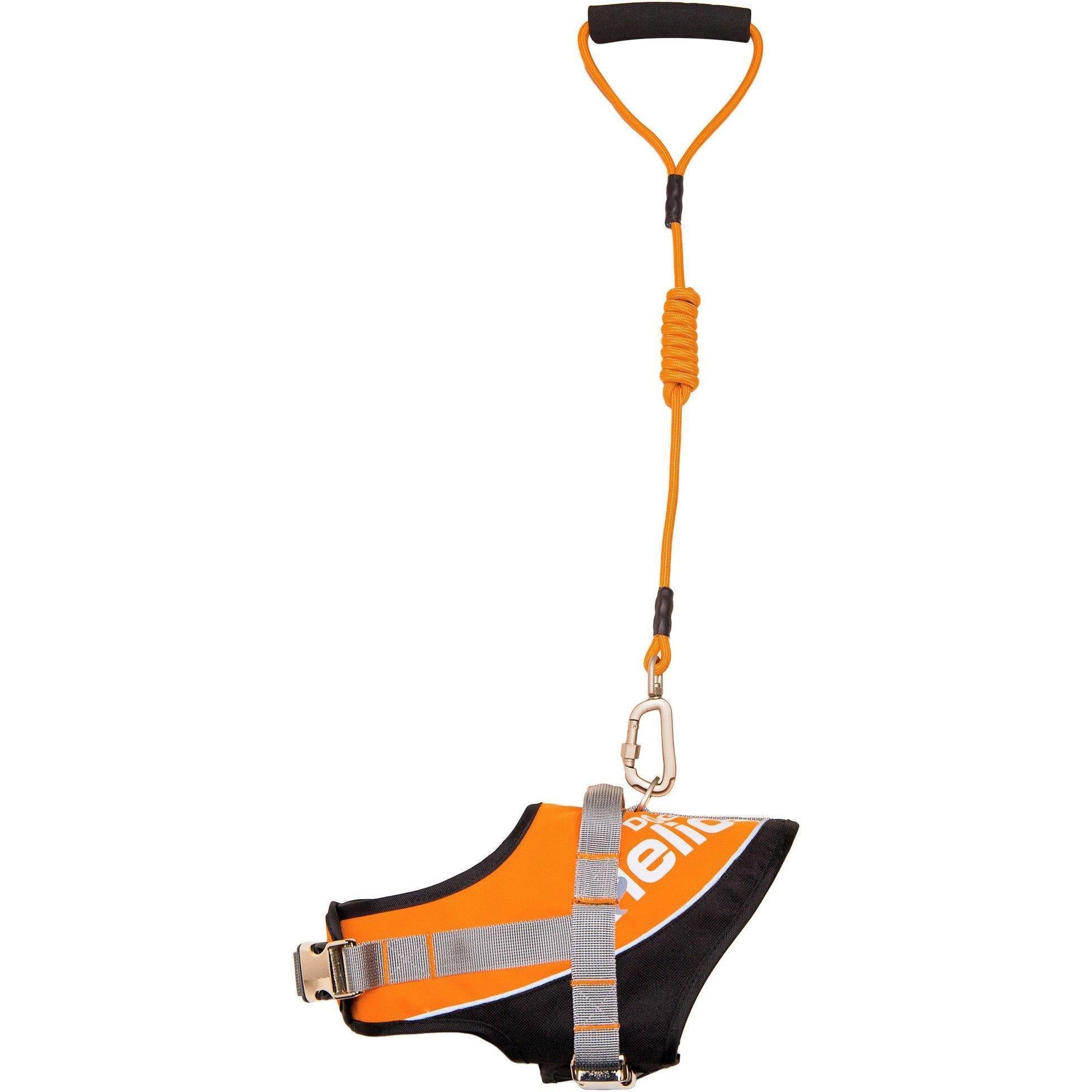 Orange reflective dog harness and leash set with adjustable straps, full view
