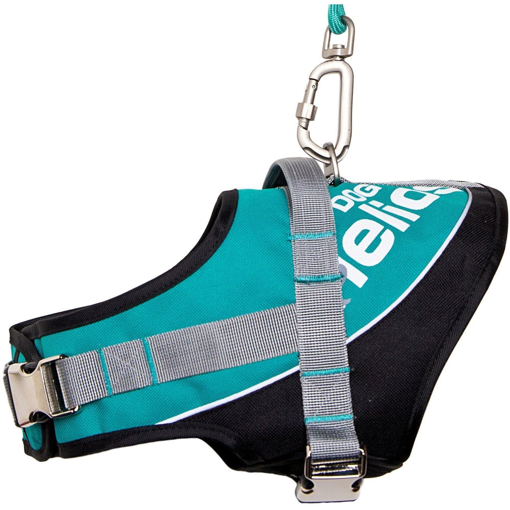 Teal blue reflective dog harness with black sides and adjustable gray straps