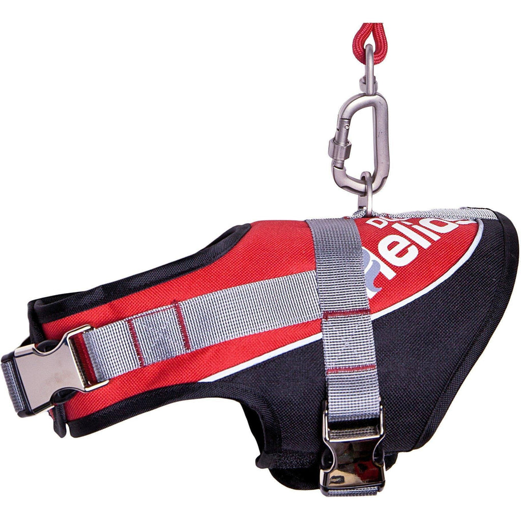 Red reflective dog harness with gray stripes and metal leash clasp
