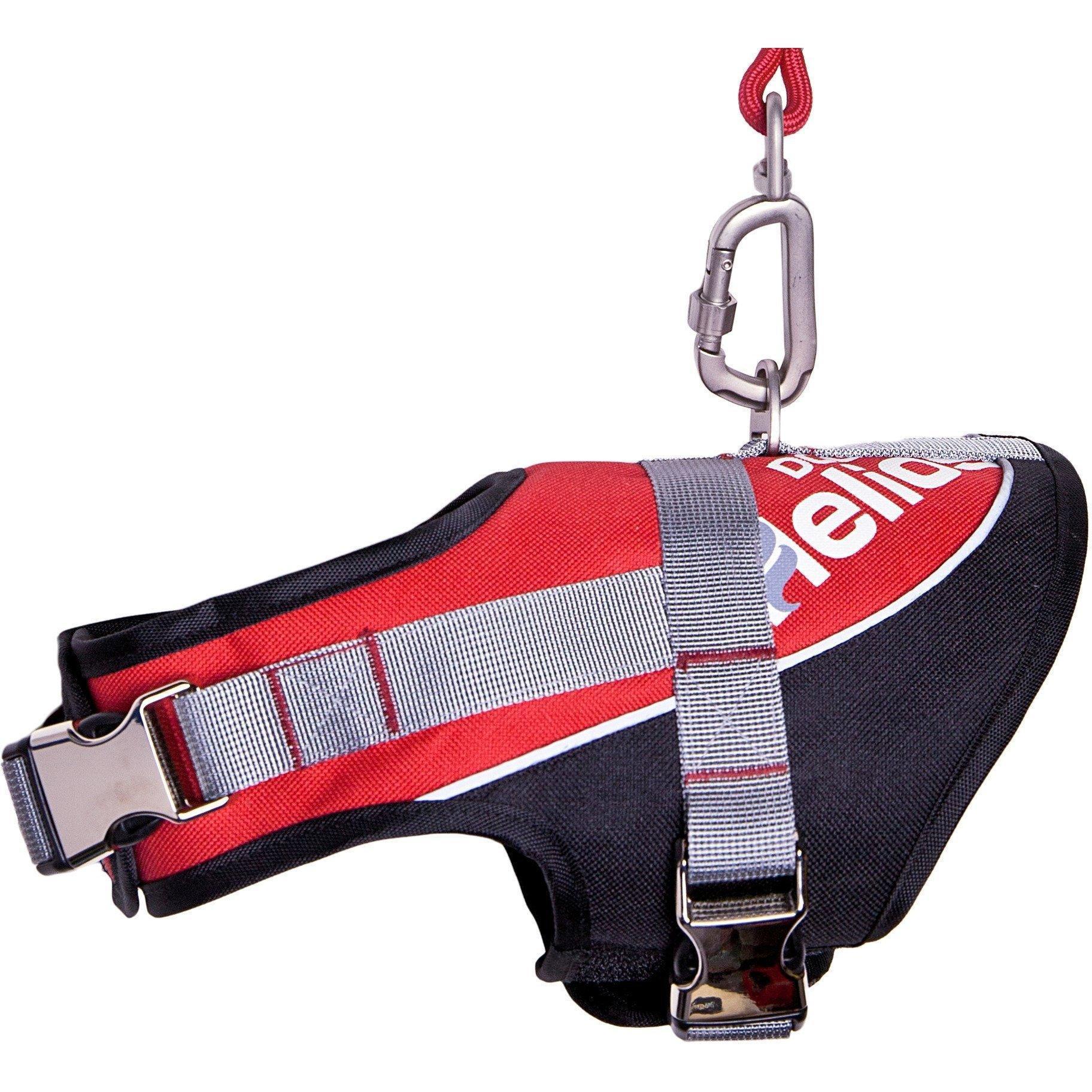 Red reflective dog harness with gray stripes and metal leash clasp