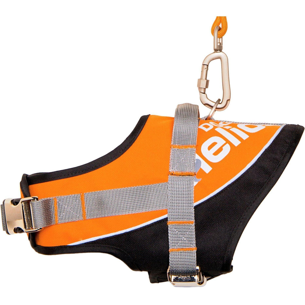 Orange reflective dog harness with silver hardware and attached leash