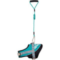 Teal blue reflective adjustable dog harness with teal leash and metal clip, full view