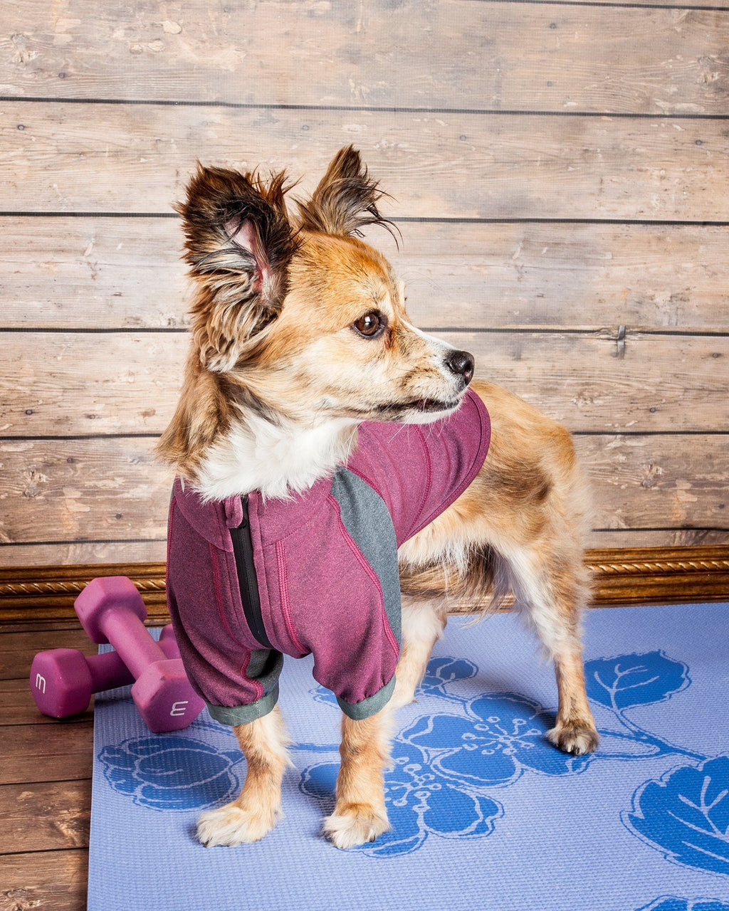 Dark pink dog hoodie-style shirt with gray trim and front zipper
